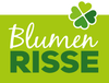 Blumen Risse