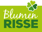 Blumen Risse Moers