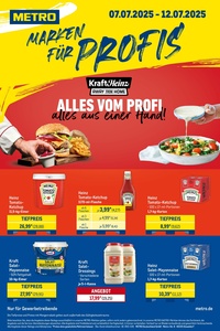 METRO Prospekt - Starke Marken Profi
