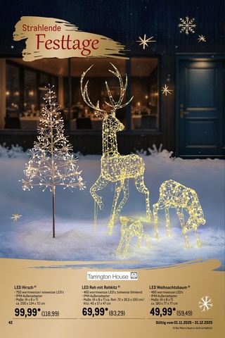 Vorschau des METRO Prospekts - Günstige Weihnachtsdeko für ein stimmungsvolles Fest, Seite 50