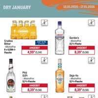 METRO Prospekt Seite 17