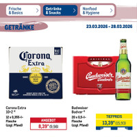 METRO Prospekt - Bier