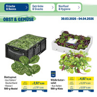 METRO Prospekt Seite 11