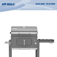 METRO Prospekt - Grillen