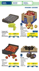 METRO Prospekt - Food