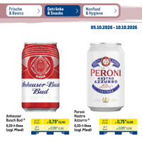 METRO Prospekt - Bier