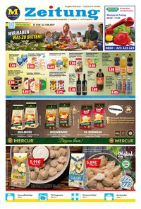 Mix Markt Prospekt - Angebote ab 09.06.