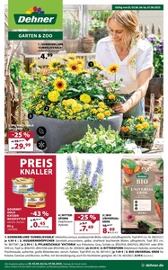 Dehner Prospekt - Angebote ab 03.06.