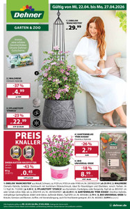 Dehner Prospekt - Jetzt ist Frühling! 