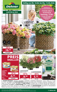 Dehner Prospekt - Angebote ab 10.06.