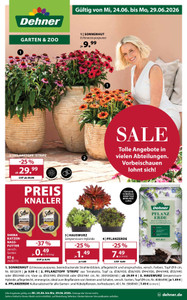 Dehner Prospekt - Sommer-SALE bei Dehner!