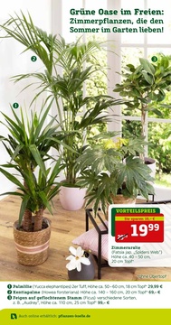 Pflanzen Kölle Prospekt - Angebote ab 02.04.