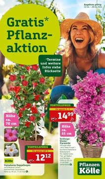 Pflanzen Kölle Prospekt - Angebote ab 22.04.