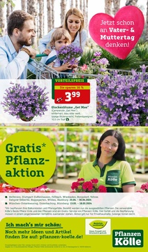 Pflanzen Kölle Prospekt - Angebote ab 29.04.
