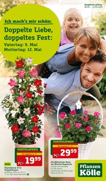 Pflanzen Kölle Prospekt - Angebote ab 06.05.