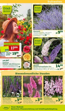 Pflanzen Kölle Prospekt - Angebote ab 13.05.