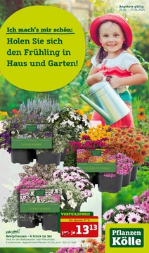 Pflanzen Kölle Prospekt - Frühling 2025
