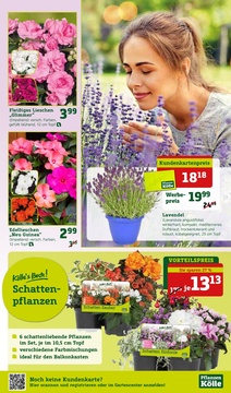 Pflanzen Kölle Prospekt - Angebote ab 28.04.