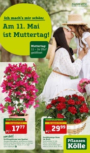 Pflanzen Kölle Prospekt - Am 11. Mai ist Muttertag!