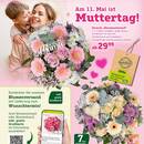 Pflanzen Kölle Prospekt Seite 2