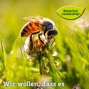 Pflanzen Kölle Prospekt - Garten & Balkon Angebote