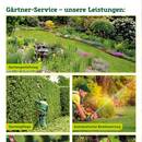 Pflanzen Kölle Prospekt - Garten & Balkon Angebote