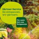 Pflanzen Kölle Prospekt Seite 13
