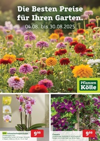 Pflanzen Kölle Prospekt - Die Besten Preise für Ihren Garten