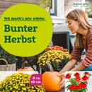 Pflanzen Kölle Prospekt - Herbstliche Angebote Angebote