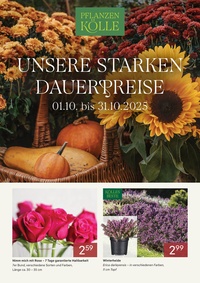 Pflanzen Kölle Prospekt - Oktober 2025