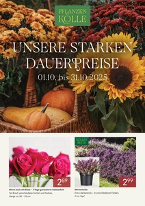 Pflanzen Kölle Prospekt - Oktober 2025