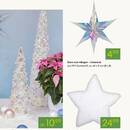 Pflanzen Kölle Prospekt Seite 3