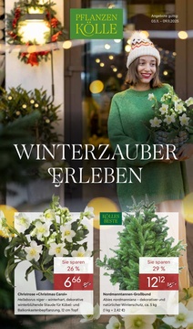 Pflanzen Kölle Prospekt - Angebote ab 03.11. - Seite 1