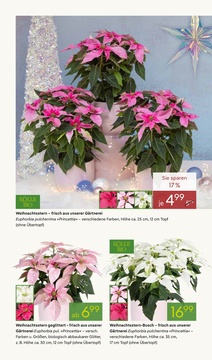 Pflanzen Kölle Prospekt - Angebote ab 03.11. - Seite 2