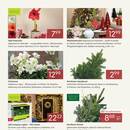 Pflanzen Kölle Prospekt Seite 2