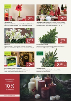 Pflanzen Kölle Prospekt - Dauerpreise im November 2025 - Seite 2