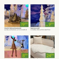 Pflanzen Kölle Prospekt Seite 3