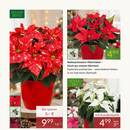 Pflanzen Kölle Prospekt Seite 2