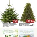 Pflanzen Kölle Prospekt - Garten & Balkon Angebote