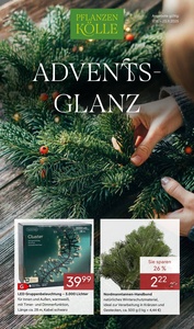 Pflanzen Kölle Prospekt - Adventsglanz