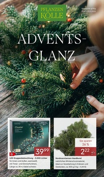 Pflanzen Kölle Prospekt - Adventsglanz - Seite 1