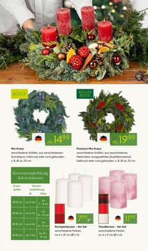 Pflanzen Kölle Prospekt - Adventsglanz