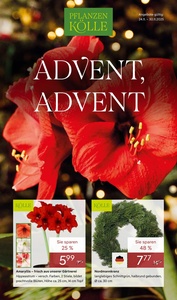 Pflanzen Kölle Prospekt - Advent, Advent