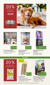 Pflanzen Kölle Prospekt - Advent, Advent