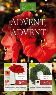 Pflanzen Kölle Prospekt - Advent, Advent - Seite 1