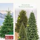 Pflanzen Kölle Prospekt Seite 3