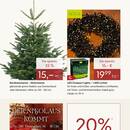 Pflanzen Kölle Prospekt - Geschenkideen zum Nikolaus Angebote