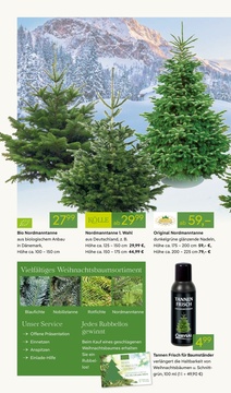 Pflanzen Kölle Prospekt - Angebote ab 01.12. - Seite 2