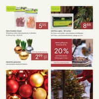 Pflanzen Kölle Prospekt Seite 2