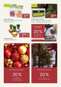 Pflanzen Kölle Prospekt - Dauerhaft niedrige Preise im Dezember
